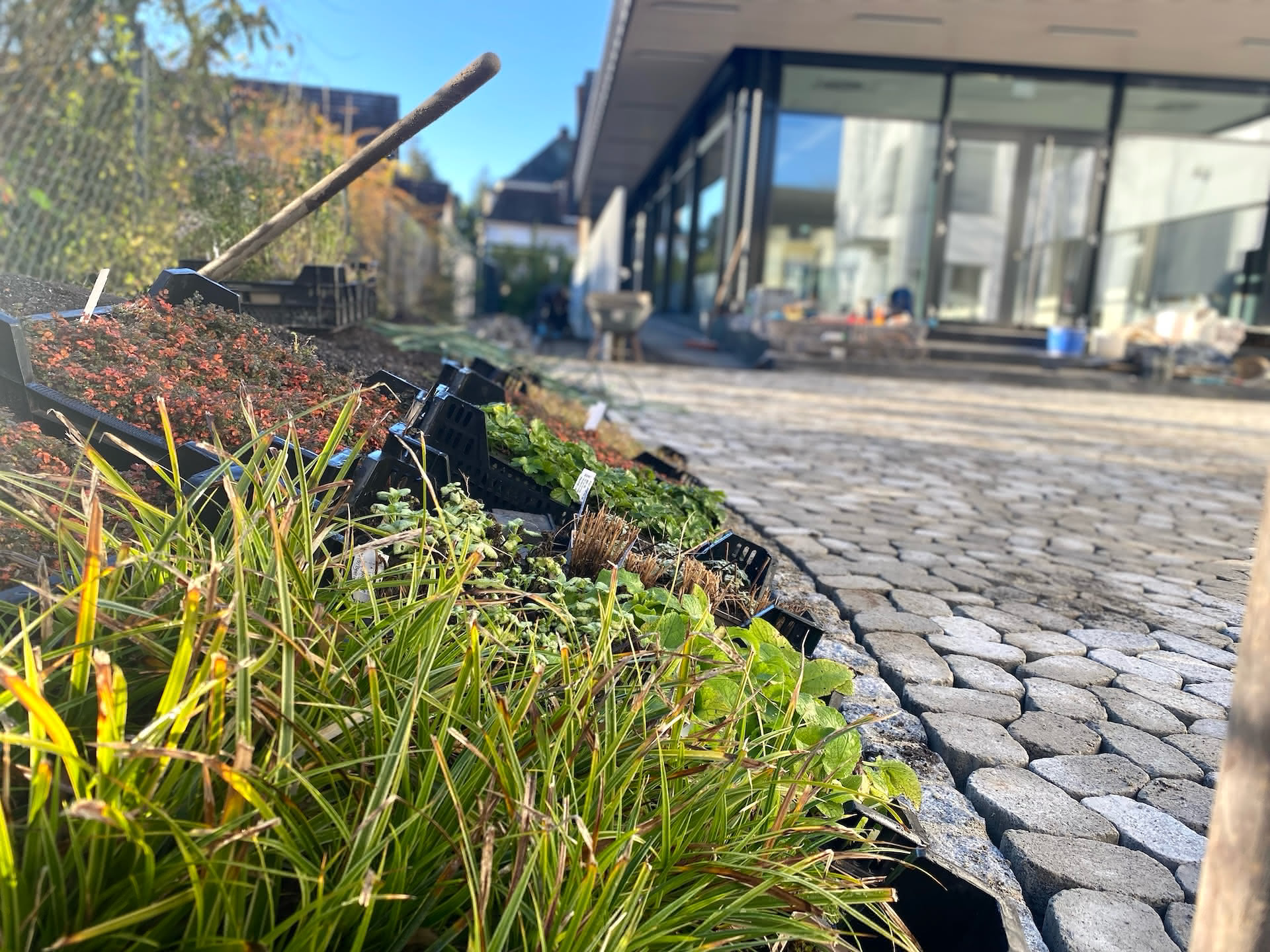 Tagebucheintrag Nummer 1